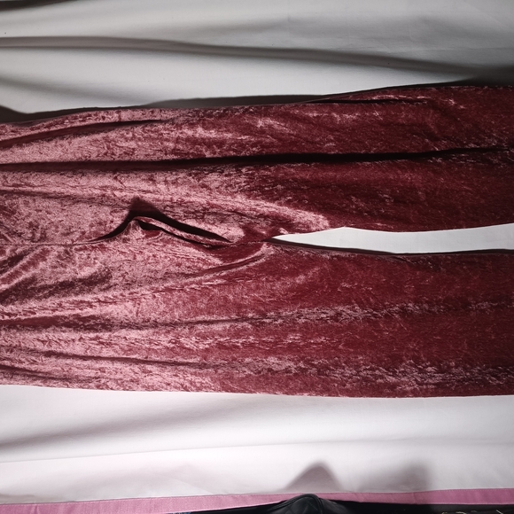 Velvet Burgundy Pants - Picture 3 of 5